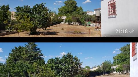 Foto 3 de Casa o xalet de lloguer a Camino de Los Poleares, 269, Poleares, Córdoba