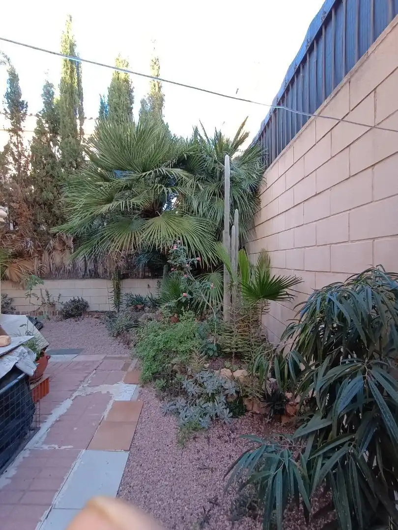 Casa adosada en venda a Calle Escritor Francisco Tetilla Rubio, 22, Campo Alto - Club de Campo Jardí de Casa adosada en venda en Elda amb Terrassa i Balcó