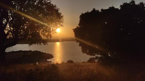 Piso en venta en Calle Callejon, 4, Pelayos, Salamanca - imagen 5 Foto 5 de Piso en venta en Calle Callejon, 4, Pelayos, Salamanca