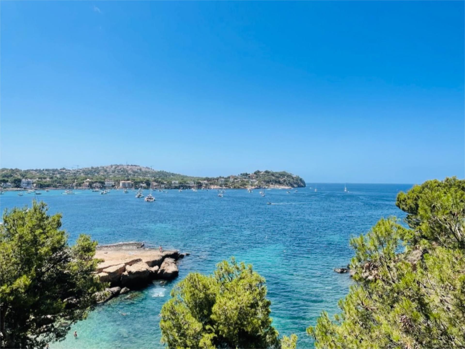 Piso de alquiler en Carrer de Ramon de Montcada, 8, Costa de la Calma Vista exterior de Piso de alquiler en Calvià con Aire acondicionado, Calefacción y Parquet