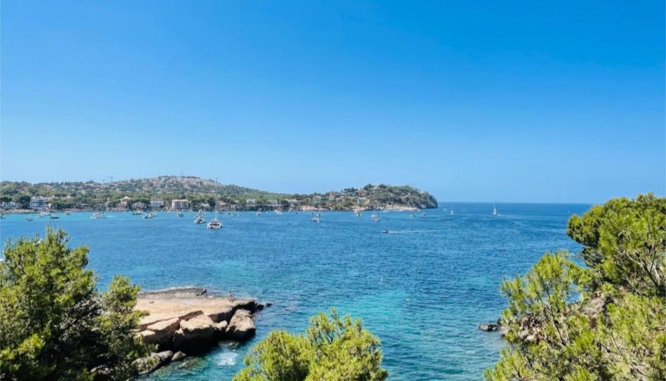 Flat to rent in Carrer de Ramon de Montcada, 8, Costa de la Calma, Illes Balears - image 1 Photo 1 of Flat to rent in Carrer de Ramon de Montcada, 8, Costa de la Calma, Illes Balears