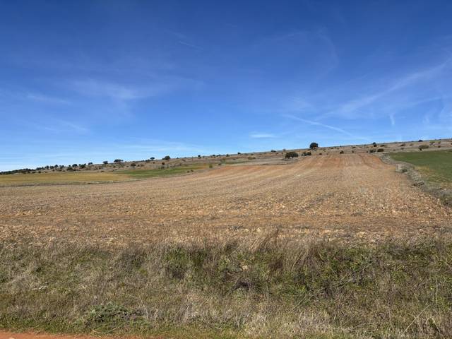 Terreno en Venta en Calle Atilio, 2 en Porzuna