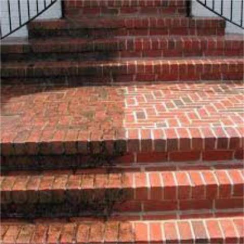 Local comercial en Alquiler en Sector S