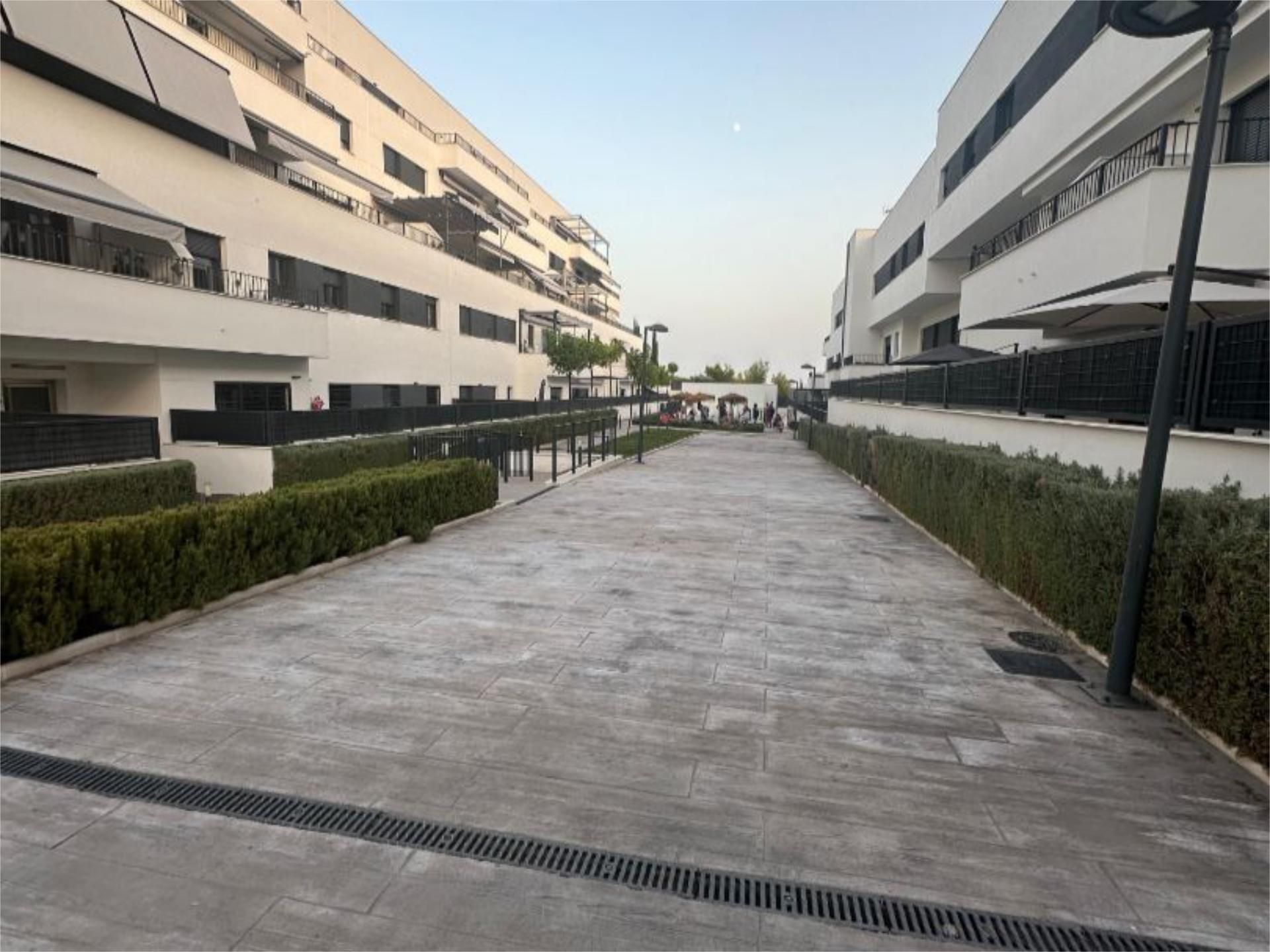 Vista exterior de Àtic de lloguer en  Córdoba Capital amb Aire condicionat, Calefacció i Jardí privat