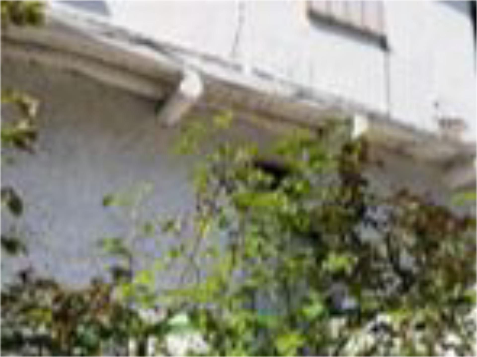 Vista exterior de Casa adosada en venda en Sobrado (León)