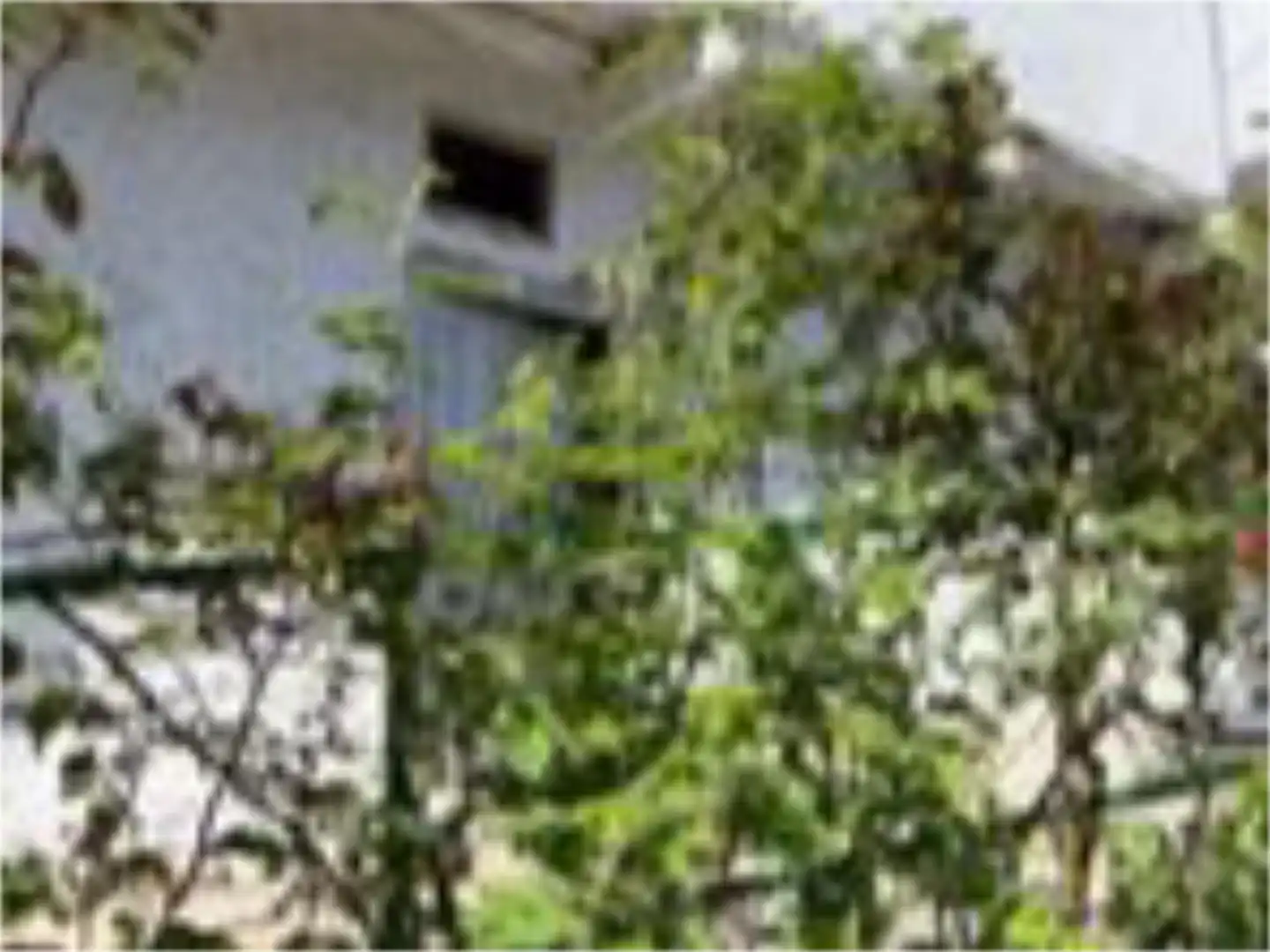 Casa adosada en venta en Calle Real, Sobrado (León) Jardín de Casa adosada en venta en Sobrado (León)