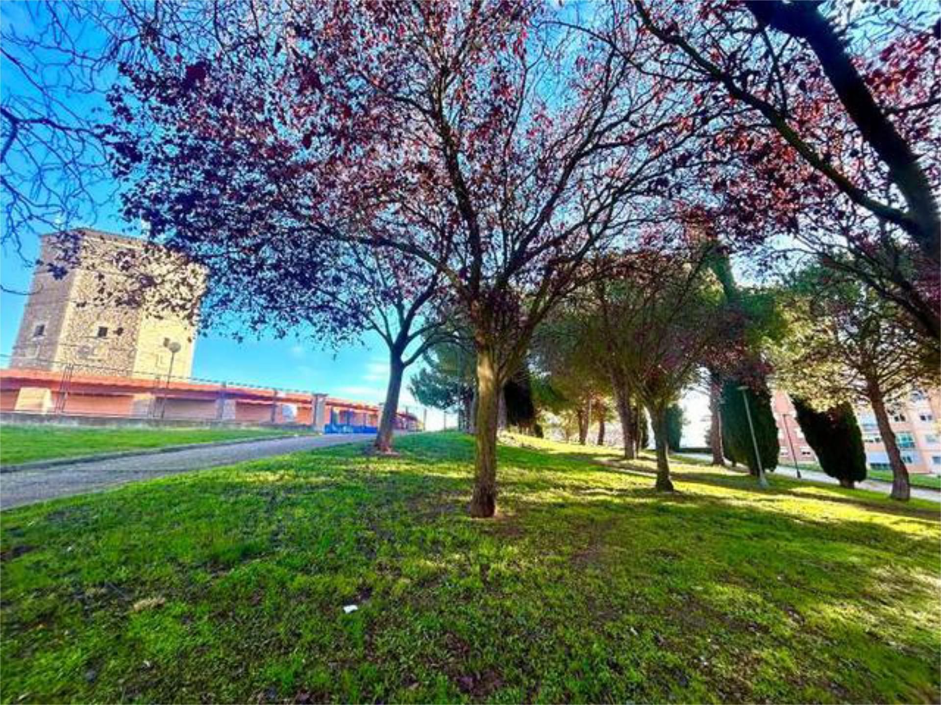 Exterior view of Flat for sale in Salamanca Capital