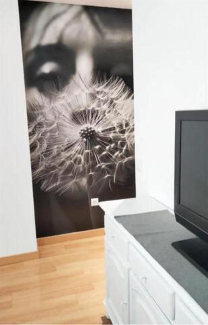 Apartament de lloguer a Centro