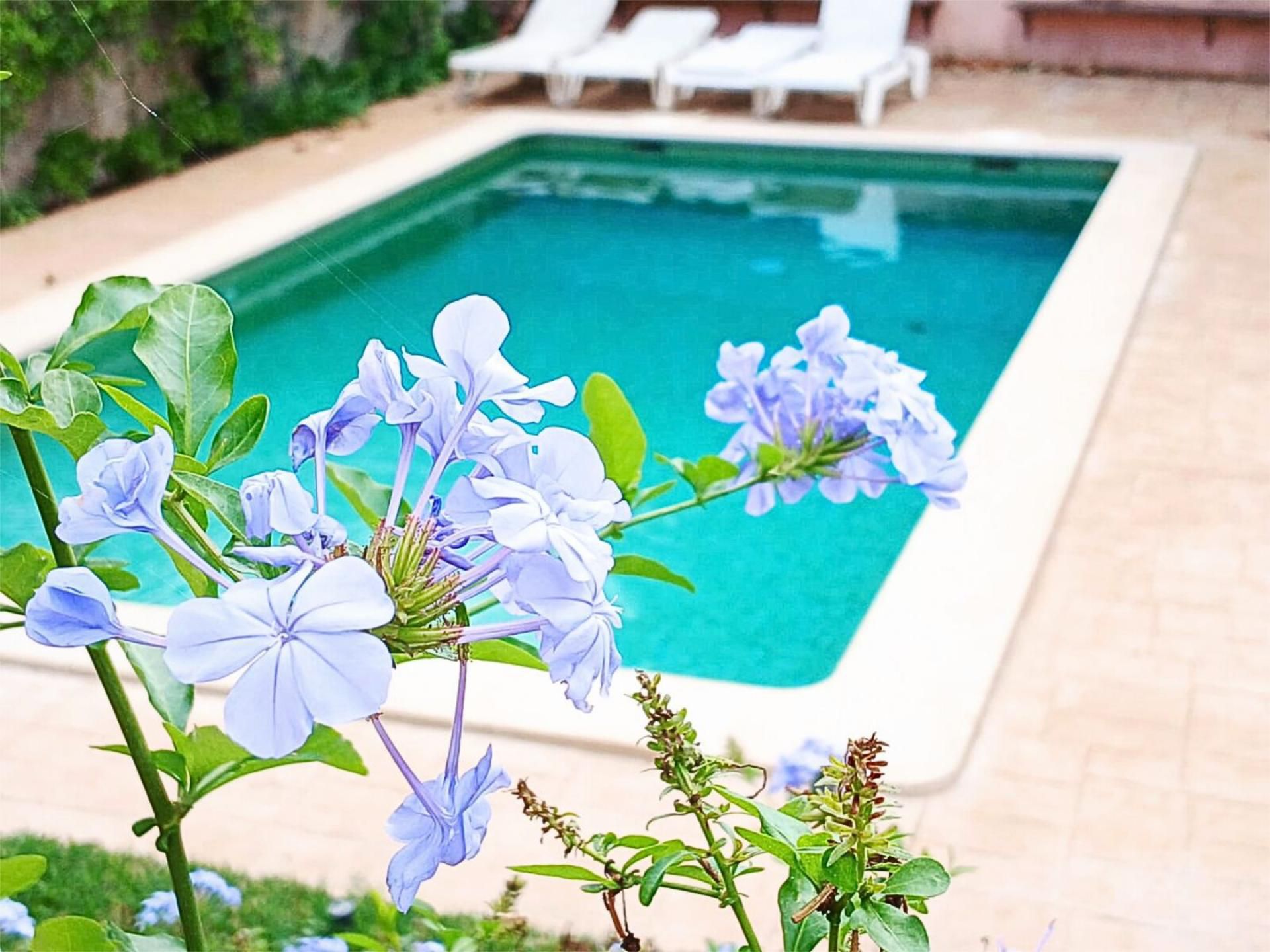 Swimming pool of Flat for sale in Sineu  with Air Conditioner, Heating and Parquet flooring