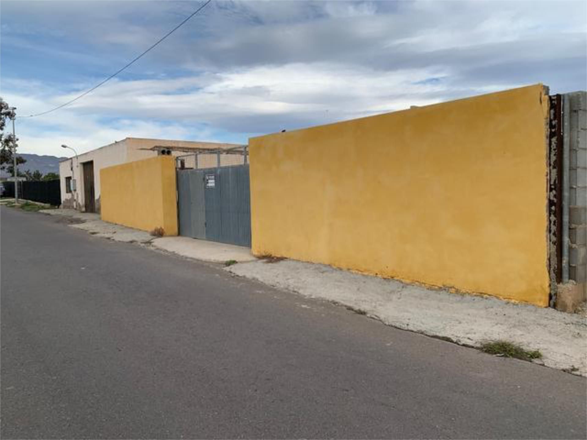 Vista exterior de Casa o chalet en venta en Níjar con Jardín privado