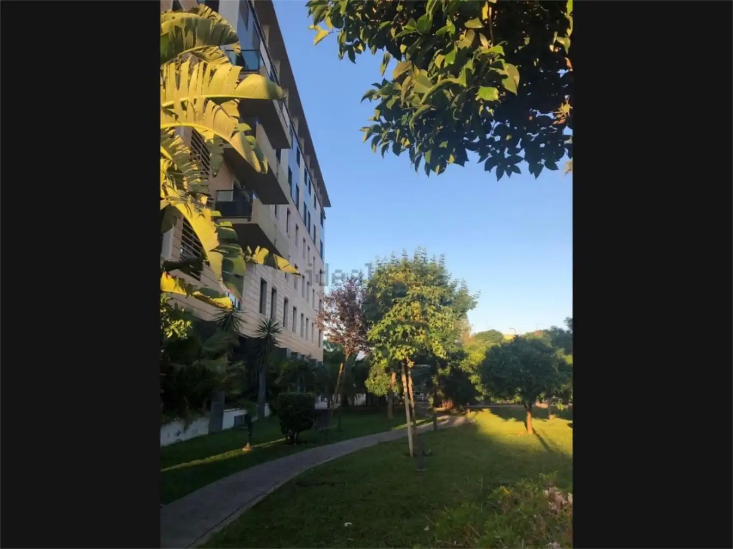 Flat for rent in Calle Jandula, 2, Pedro Salvador - Las Palmeritas Flat for rent in Calle Jandula, 2, Pedro Salvador - Las Palmeritas