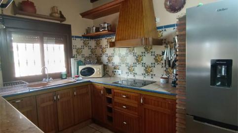 Photo 4 of House or chalet to rent in Avenida de Andalucía, 83, Guaro, Málaga