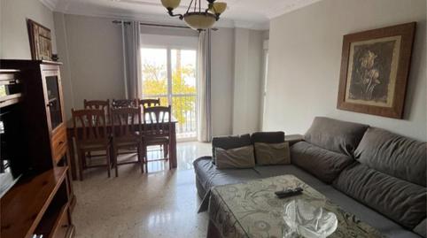 Flat to rent in Avenida José Antonio Gallego, 2, El Cuervo de Sevilla, Sevilla - image 4 Photo 4 of Flat to rent in Avenida José Antonio Gallego, 2, El Cuervo de Sevilla, Sevilla