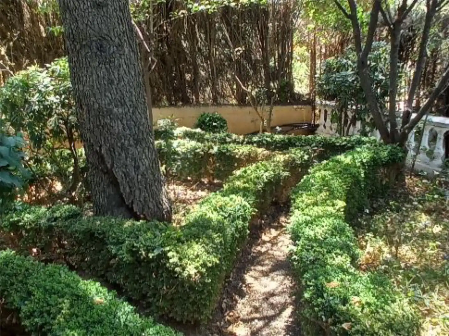 Jardín de Casa o chalet en venta en La Zubia con Aire acondicionado, Calefacción y Jardín privado