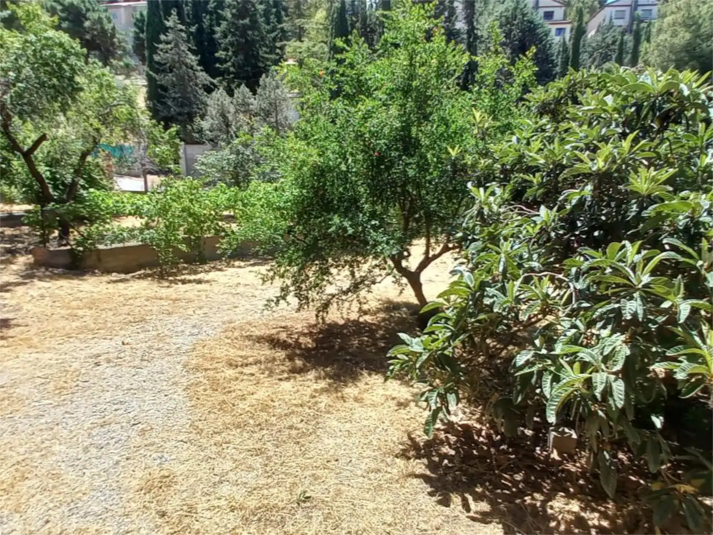 Jardín de Casa o chalet en venta en La Zubia con Aire acondicionado, Calefacción y Jardín privado