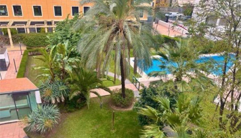 Photo 1 of Flat to rent in Pedro Salvador - Las Palmeritas, Sevilla