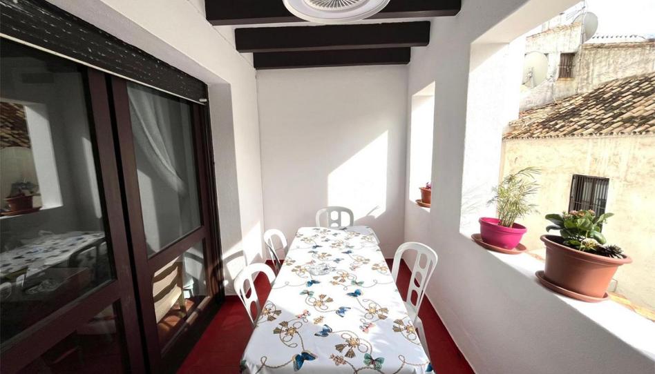 Flat to rent in Avenida de Julio Iglesias, 28, Puerto Banús, Málaga - image 1 Photo 1 of Flat to rent in Avenida de Julio Iglesias, 28, Puerto Banús, Málaga