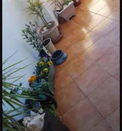 Photo 1 of Flat to rent in Benifaió, Valencia