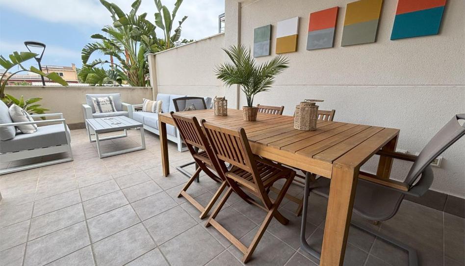 Apartament de lloguer a Carrer Mar Jónica, 1, El Palmar - Los Molinos, Alicante - imatge 1 Foto 1 de Apartament de lloguer a Carrer Mar Jónica, 1, El Palmar - Los Molinos, Alicante