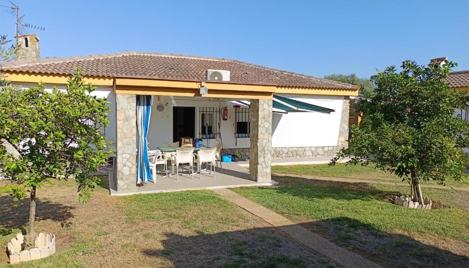 Flat to rent in Calle Camino de Cantalobos, 3, Espartinas Pueblo, Sevilla - image 1 Photo 1 of Flat to rent in Calle Camino de Cantalobos, 3, Espartinas Pueblo, Sevilla