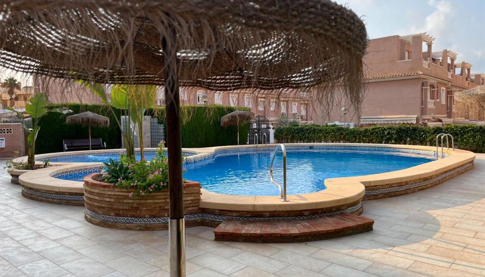 Flat to rent in Avinguda de Portugal, 95, Calas Santiago Bernabéu, Alicante - image 1 Photo 1 of Flat to rent in Avinguda de Portugal, 95, Calas Santiago Bernabéu, Alicante