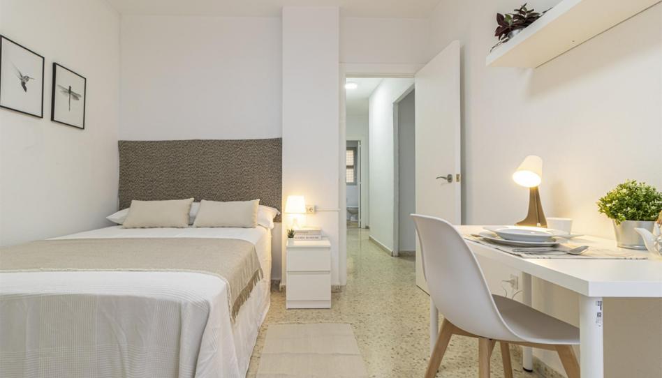 Pis per a compartir a Calle Clara Campoamor, 17, El Altillo, Cádiz - imatge 1 Foto 1 de Pis per a compartir a Calle Clara Campoamor, 17, El Altillo, Cádiz