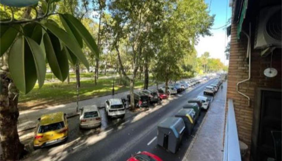 Flat to share in Avenida Vallellano, 11, Casco Histórico - Ribera - San Basilio, Córdoba - image 1 Photo 1 of Flat to share in Avenida Vallellano, 11, Casco Histórico - Ribera - San Basilio, Córdoba