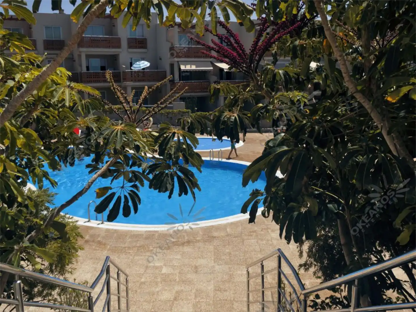 Piso en venta en Calle Pizarro, 2, Los Abrigos Piscina de Piso en venta en Granadilla de Abona con Terraza y Piscina