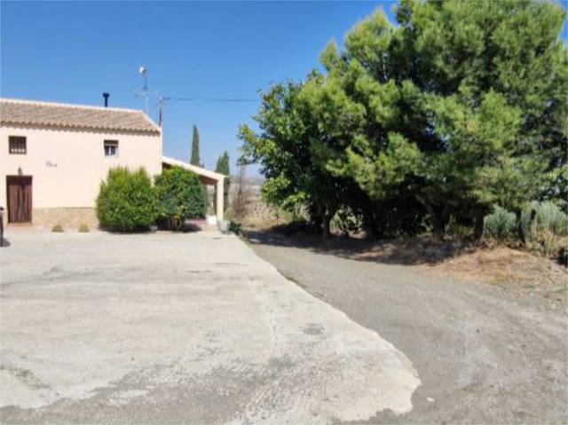 Finca rústica en Alquiler en Paraje la Oliverica, 32 en Vélez-Rubio