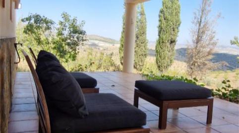 Foto 3 de Finca rústica de alquiler en Paraje la Oliverica, 32, Vélez-Rubio, Almería