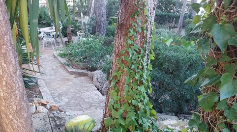 House or chalet for sale in Camí Coll de Pous, 81, La Pedrera - Vessanes, Alicante - image 3 Photo 3 of House or chalet for sale in Camí Coll de Pous, 81, La Pedrera - Vessanes, Alicante