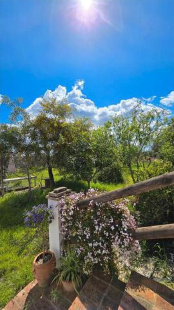 Garden of Single-family semi-detached for sale in Pilas  with Heating, Private garden and Terrace