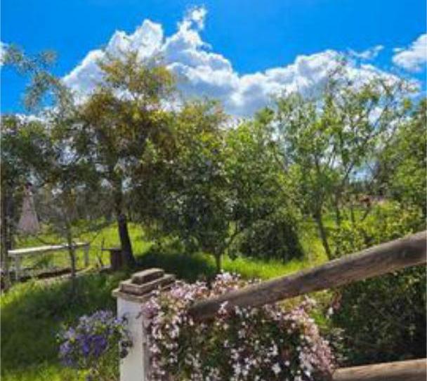 Casa adosada en venda a Pilas, Sevilla - imatge 1 Foto 1 de Casa adosada en venda a Pilas, Sevilla