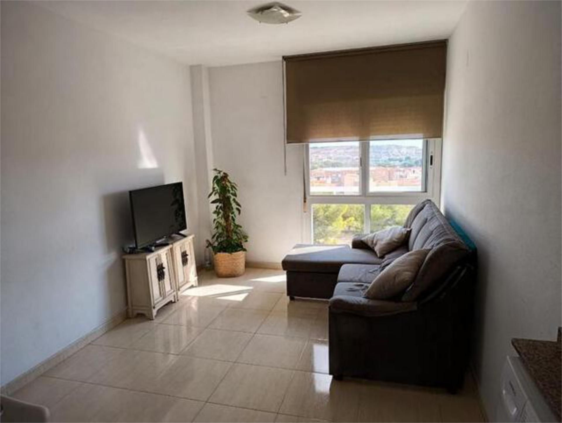 Sala d'estar de Pis de lloguer en Alicante / Alacant