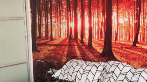 Foto 4 de Pis de lloguer a Carrer de Pinar del Rio, 32, El Congrés i els Indians, Barcelona