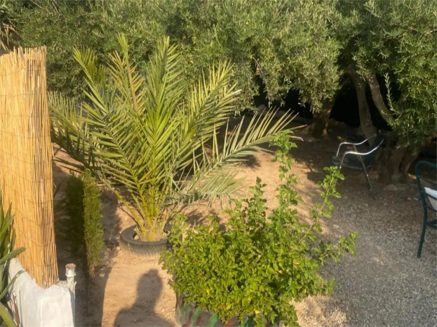 Finca rústica en venda a Calle Partida de la Cruz, 88b, El Raso Finca rústica en venda a Calle Partida de la Cruz, 88b, El Raso