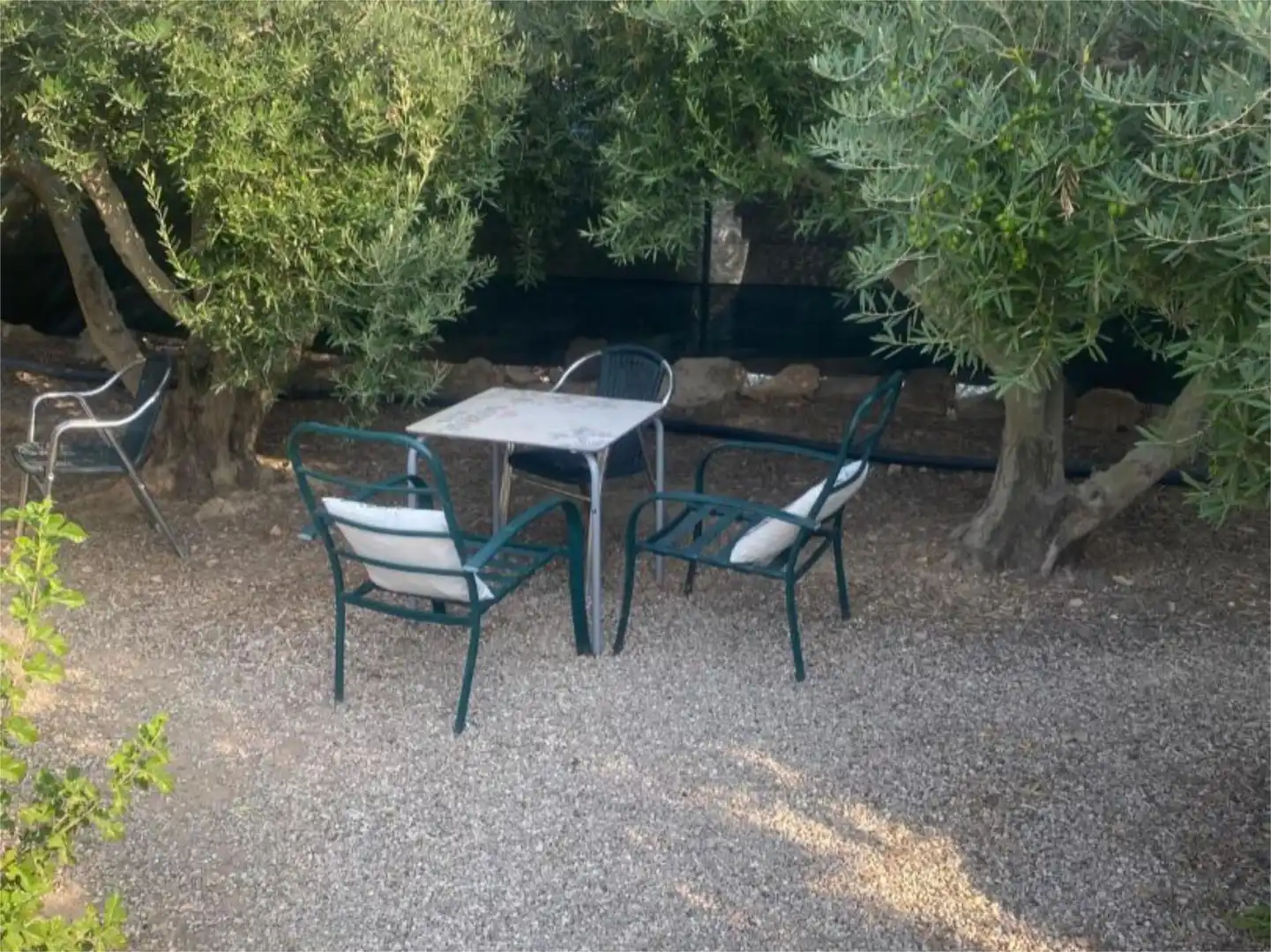 Finca rústica en venda a Calle Partida de la Cruz, 88b, El Raso Finca rústica en venda a Calle Partida de la Cruz, 88b, El Raso