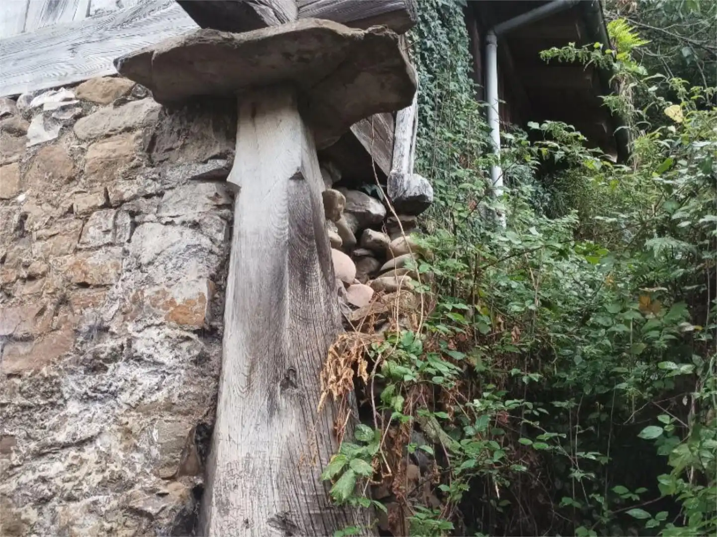 Houses for sale in Mi-1, 54, San Pedro - Siana Garden of Houses for sale in Mieres (Asturias)