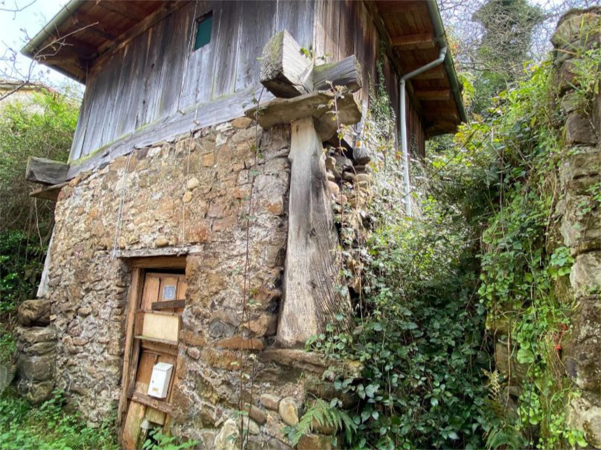 Exterior view of House or chalet for sale in Mieres (Asturias)