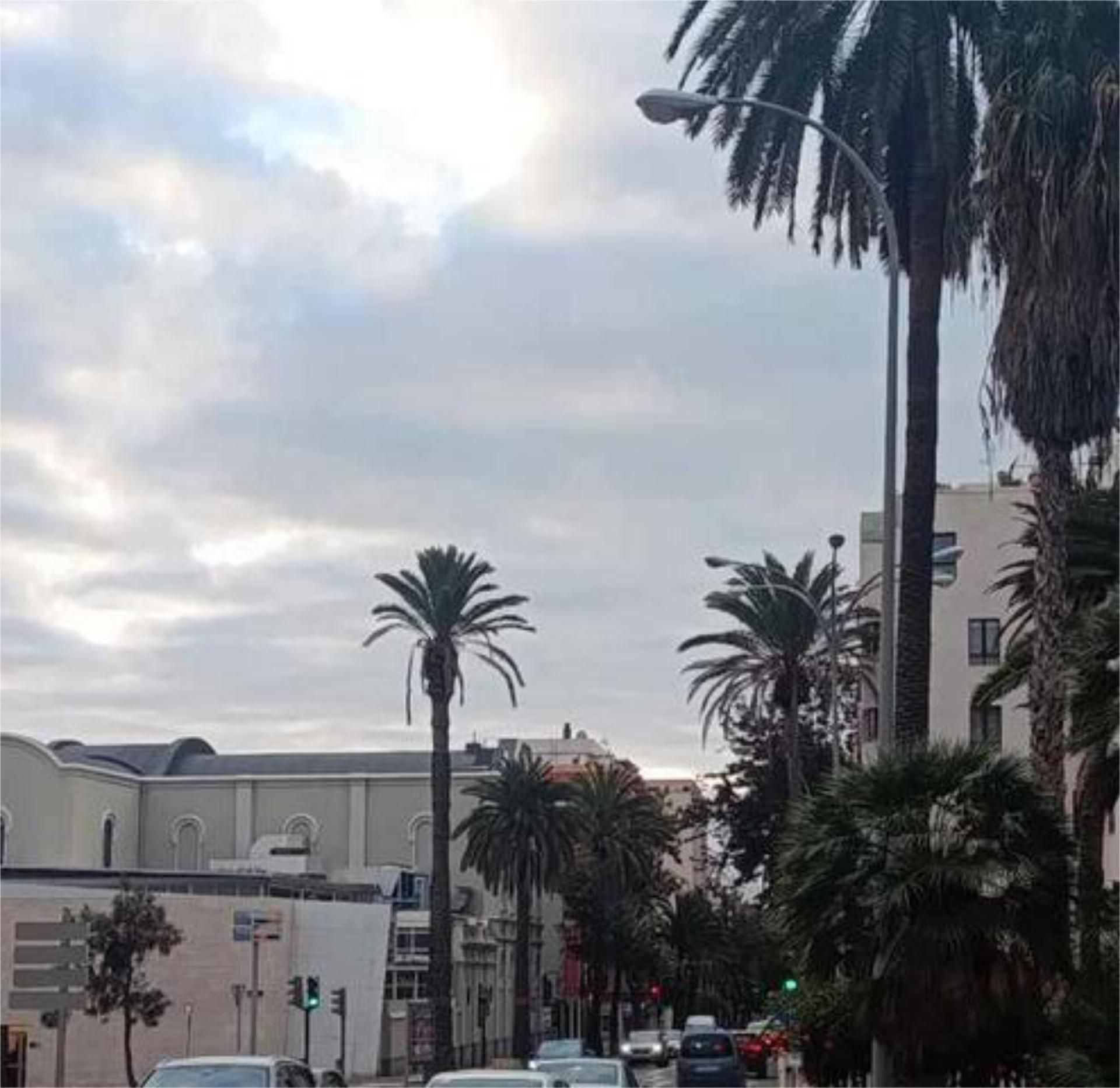 Pis de lloguer a Altavista - Don Zoilo Pis de lloguer a Altavista - Don Zoilo