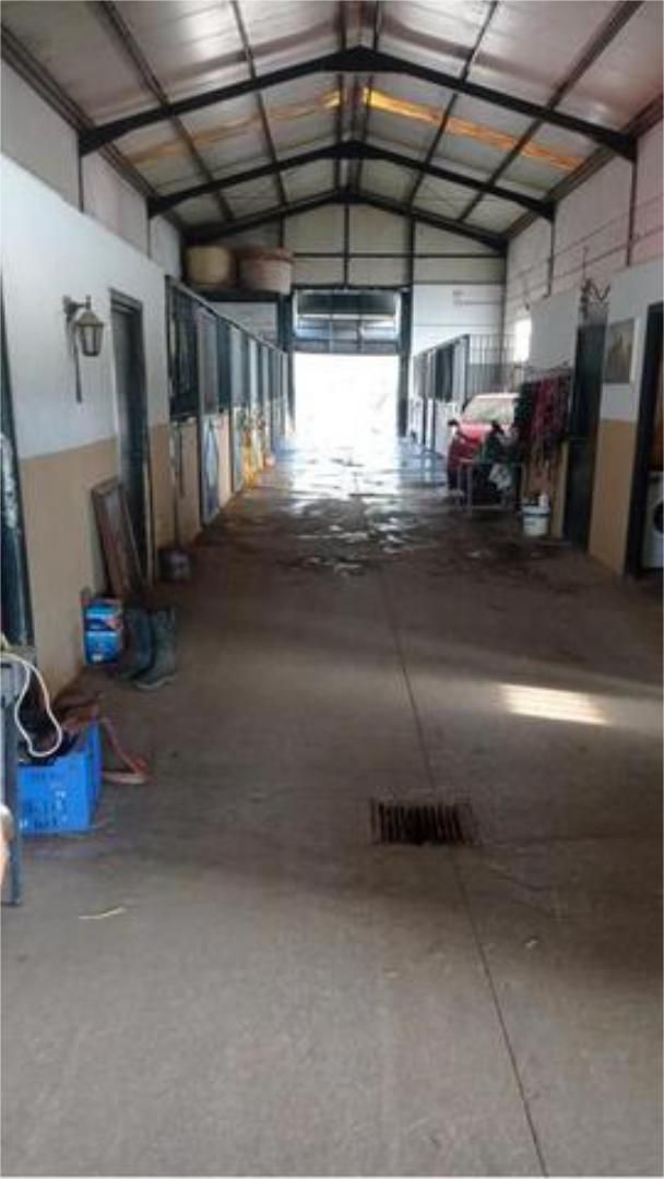 Nau industrial de lloguer en Marbella