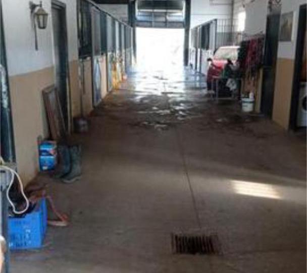 Photo 1 of Industrial buildings to rent in Las Chapas - Alicate Playa, Málaga