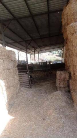 Nave industrial en Alquiler en Las Chapas - Alicate Playa