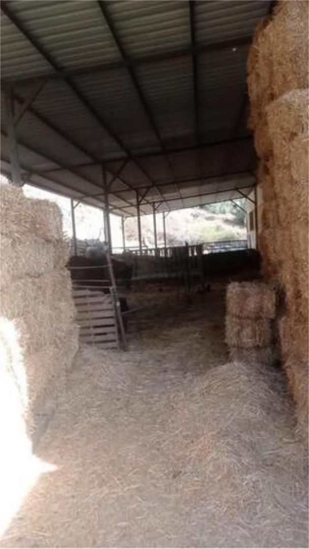 Industrial buildings to rent in Las Chapas - Alicate Playa Industrial buildings to rent in Marbella