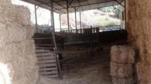 Photo 3 of Industrial buildings to rent in Las Chapas - Alicate Playa, Málaga