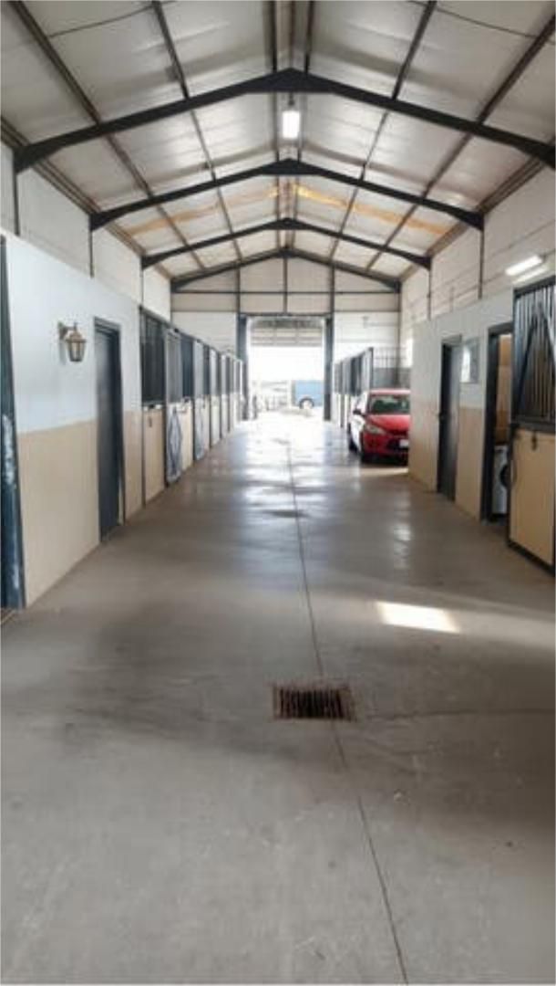 Industrial buildings for rent in Marbella