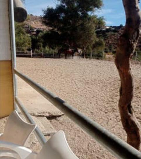 Foto 2 von Fabrikhallen zur Miete in Las Chapas - Alicate Playa, Marbella