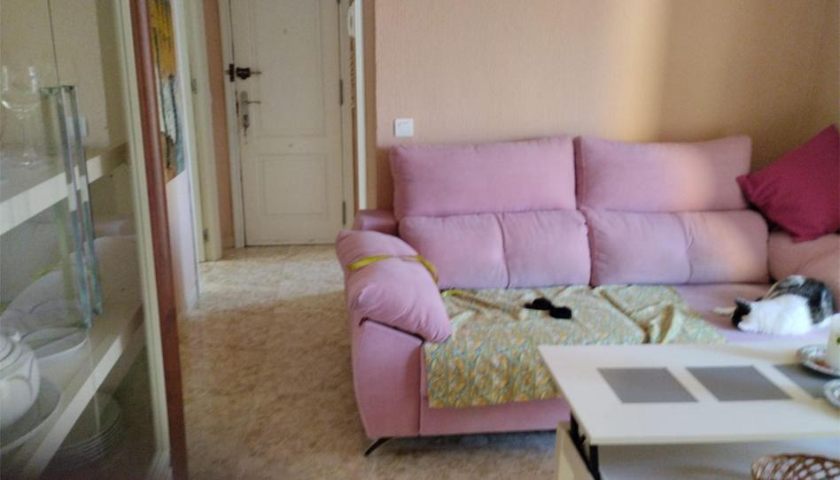 Piso de alquiler en Avenida Palomeque, 13, Isla Chica, Huelva - imagen 1 Foto 1 de Piso de alquiler en Avenida Palomeque, 13, Isla Chica, Huelva