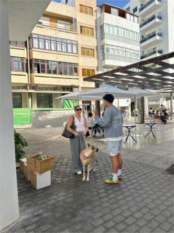 Local comercial en Alquiler en Puerto del Carmen