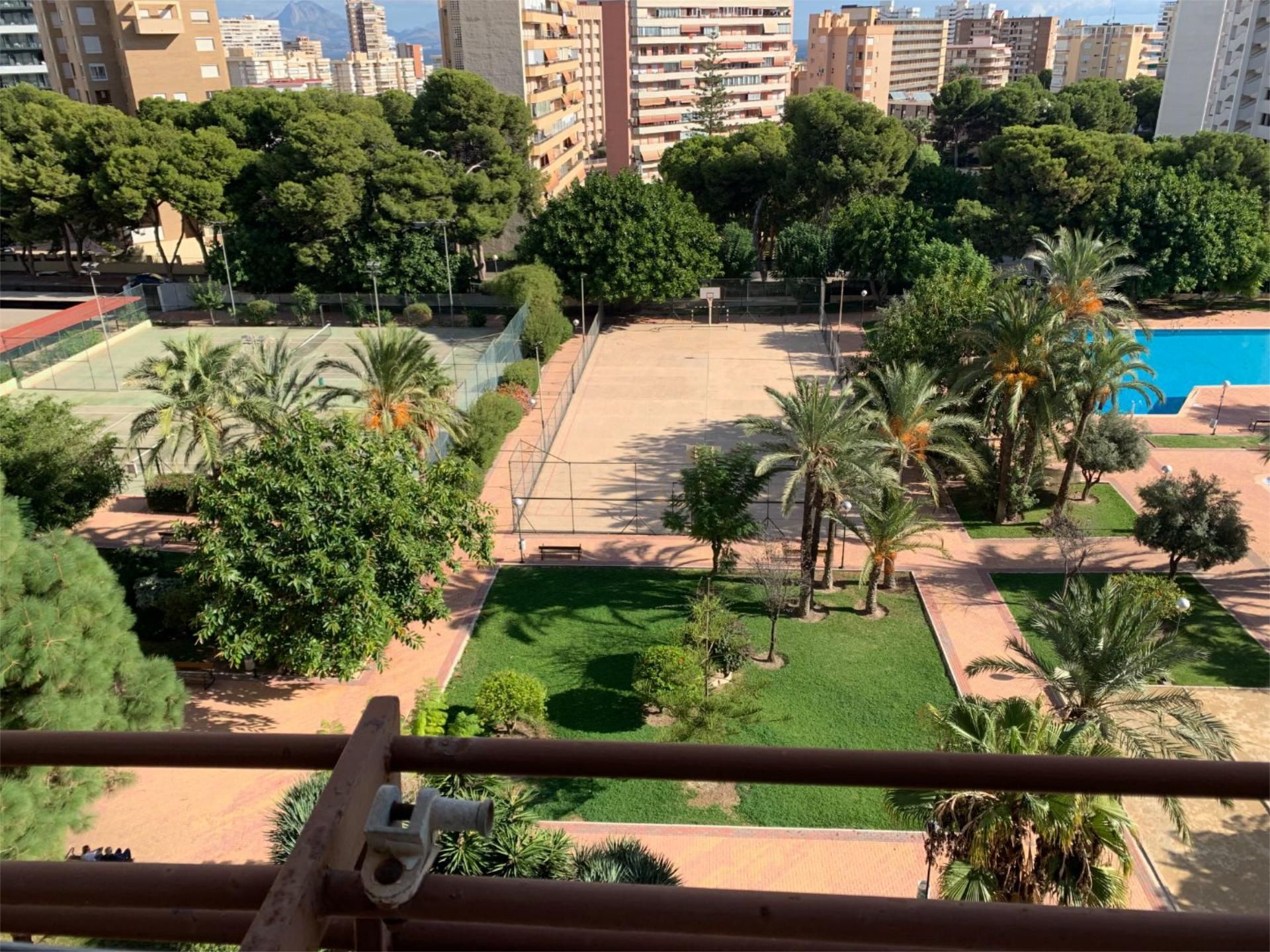 Garden of Flat for sale in Alicante / Alacant  with Terrace and Swimming Pool